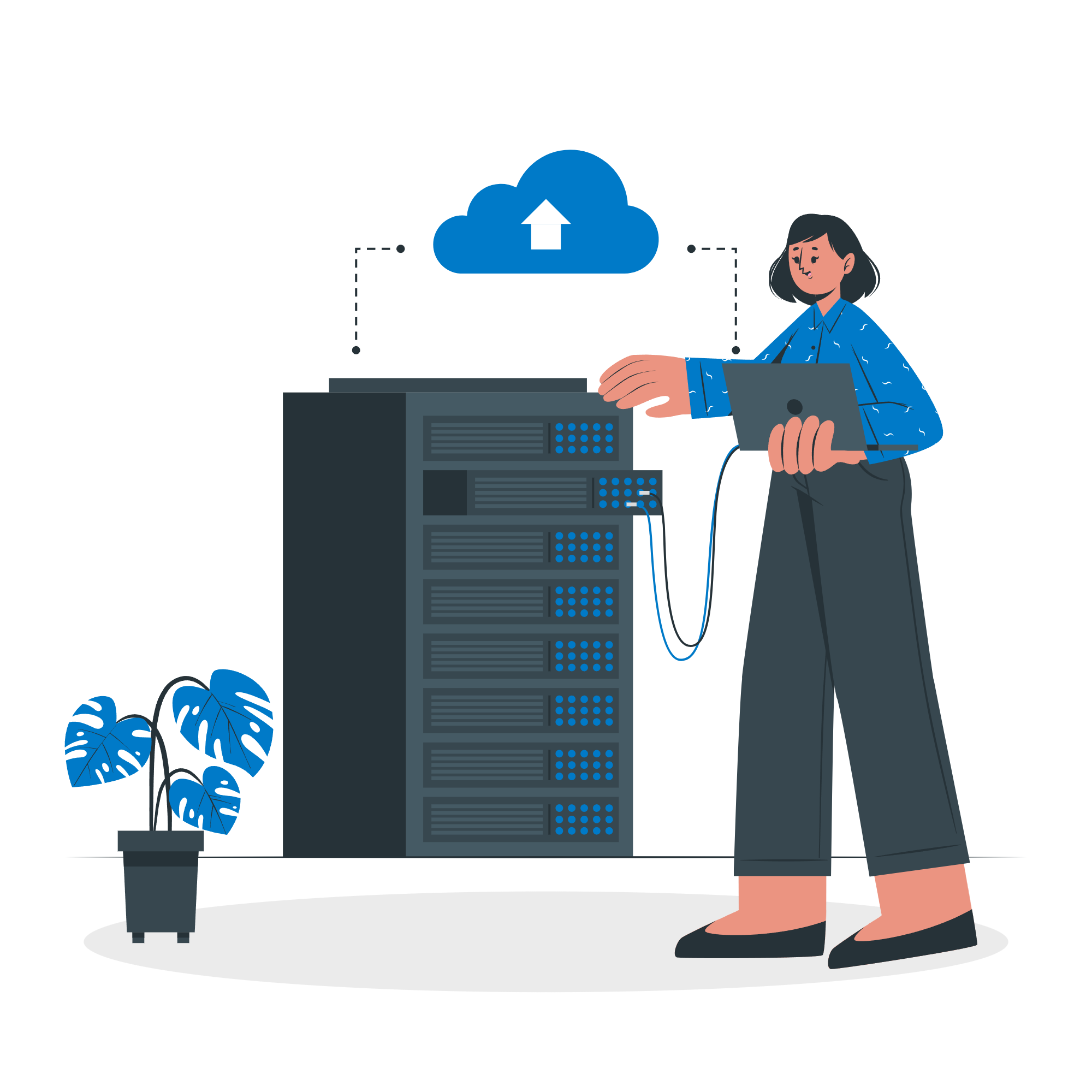 Sukam Tally On Cloud server