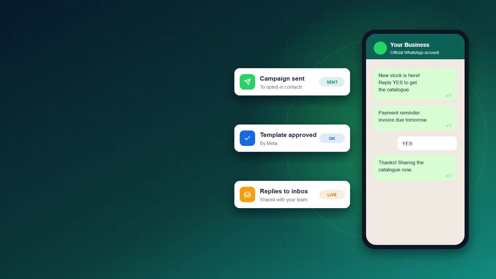 Bulk WhatsApp sender on the official WhatsApp Business API - campaign, approved template and replies